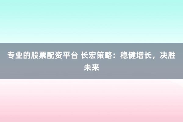 专业的股票配资平台 长宏策略：稳健增长，决胜未来