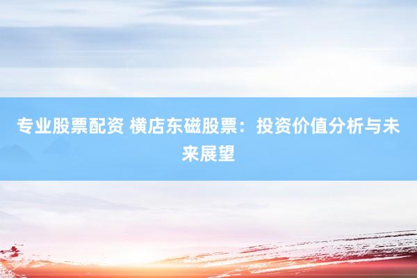专业股票配资 横店东磁股票：投资价值分析与未来展望
