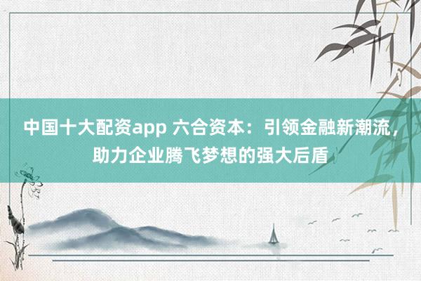 中国十大配资app 六合资本:引领金融新潮流,助力企业腾飞梦想的强大后盾