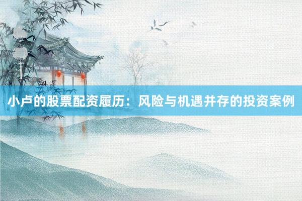 小卢的股票配资履历:风险与机遇并存的投资案例