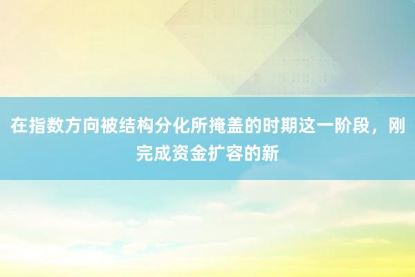 在指数方向被结构分化所掩盖的时期这一阶段，刚完成资金扩容的新