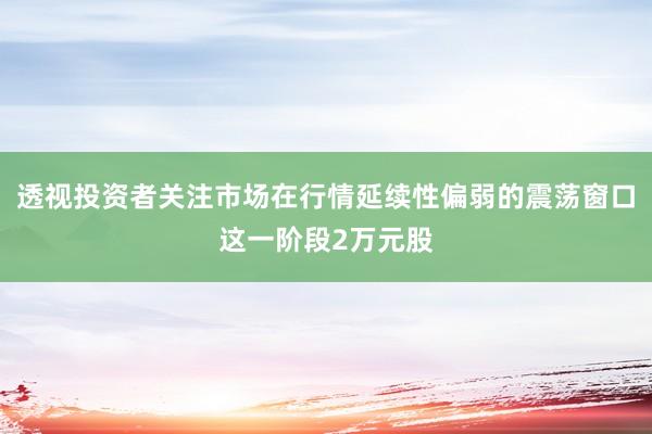 透视投资者关注市场在行情延续性偏弱的震荡窗口这一阶段2万元股