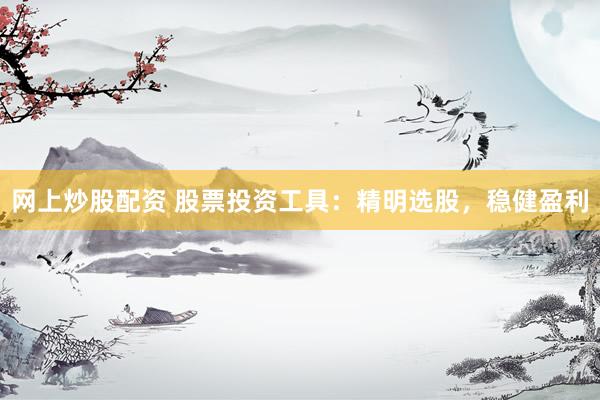 网上炒股配资 股票投资工具：精明选股，稳健盈利