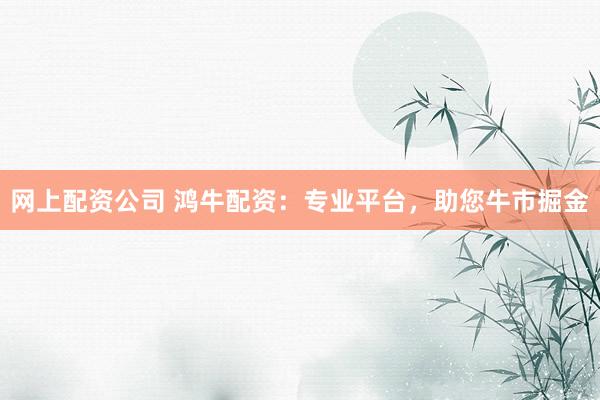 网上配资公司 鸿牛配资：专业平台，助您牛市掘金