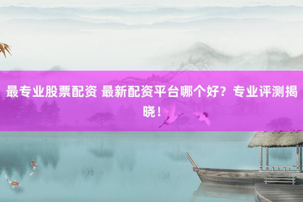 最专业股票配资 最新配资平台哪个好？专业评测揭晓！